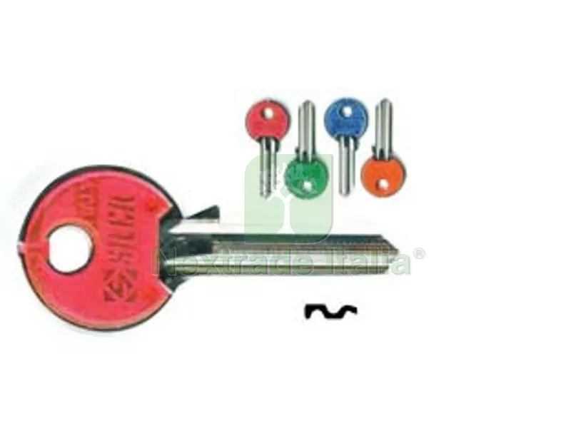 10PZ chiavi per cilindri 5 spine piccole cs7nsl - cs7nsl dx slim fluo colori assortiti — Serrature e cilindri — rif. FERX.FER191302 10PZ chiavi per cilindri 5 spine piccole cs7nsl - cs7nsl dx slim fluo colori assortiti — Serrature e cilindri — rif. FERX.FER191302