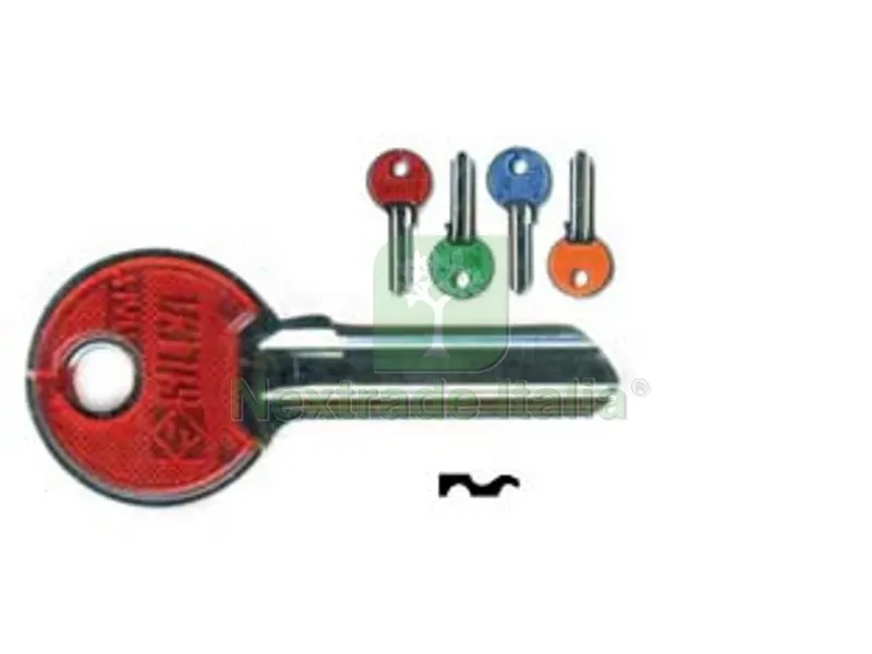 10PZ chiavi per cilindri 5 spine piccole ie3sl - ie3sl dx slim fluo colori assortiti — Serrature e cilindri — rif. FERX.FER191319 10PZ chiavi per cilindri 5 spine piccole ie3sl - ie3sl dx slim fluo colori assortiti — Serrature e cilindri — rif. FERX.FER191319