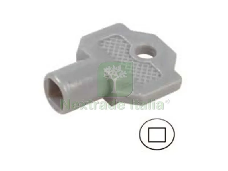 10PZ Chiave Plastica per Cilindro con Quadrello per Quadri Elettrici 152A misuara foro mm.6x6 — Serrature e cilindri — rif. FERX.FER238076 10PZ Chiave Plastica per Cilindro con Quadrello per Quadri Elettrici 152A misuara foro mm.6x6 — Serrature e cilindri — rif. FERX.FER238076