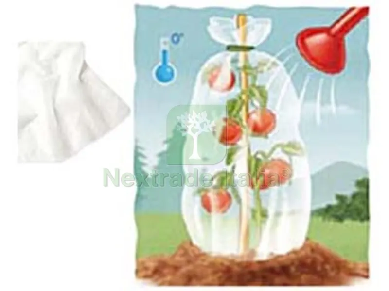 6PZ CAPPUCCIO PROTETTIVO SACCO TNT BIANCO GR.17 - ? cm.160x200h. peso gr.17/mq conf. da 1 pz. — Protezione piante e sementi — rif. FERX.FER241403 6PZ CAPPUCCIO PROTETTIVO SACCO TNT BIANCO GR.17 - ? cm.160x200h. peso gr.17/mq conf. da 1 pz. — Protezione piante e sementi — rif. FERX.FER241403