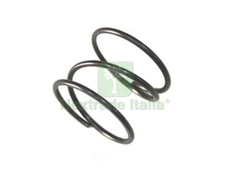 5PZ Molla Ricambio per Testina Active — Attrezzi da giardino — rif. FERX.FER246118