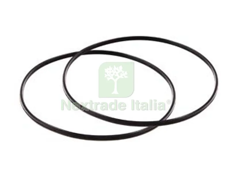 Guarnizione Ricambio Pentola a Pressione - conf. pz.2 — Guarnizioni e tenute — rif. FERX.FER265904