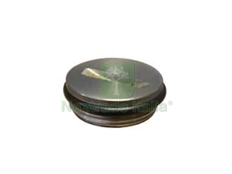 TAPPO IN ACCIAIO INOX PER FUSTI E SERBATOI INOX - 1" — Tubi e raccordi — rif. FERX.FER268738