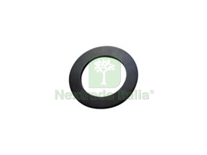 25PZ Guarnizione in Teflon per Lance Irrorazione - mm.18x12,5x1,8 — Guarnizioni e tenute — rif. FERX.FER274982
