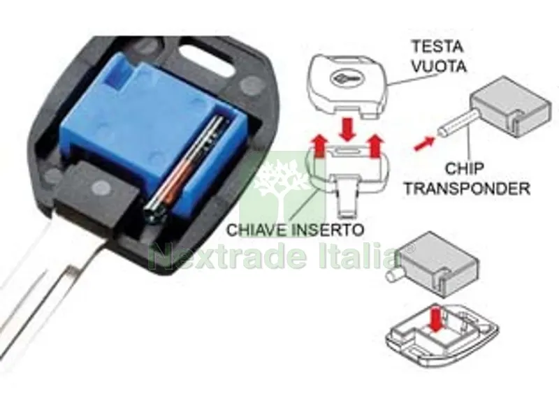 TESTA ELETTRONICA PER CHIAVI AUTO MH-TA - MH-TA — Chiavi e ricambi auto — rif. FERX.FER275422 TESTA ELETTRONICA PER CHIAVI AUTO MH-TA - MH-TA — Chiavi e ricambi auto — rif. FERX.FER275422