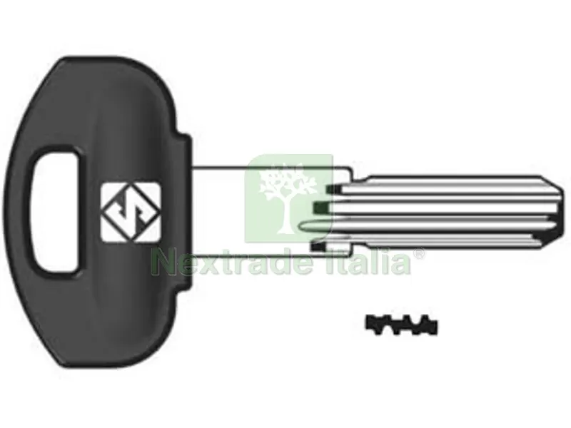 5PZ CHIAVI PUNZONATE PER CILINDRI SECUREMME 10 SPINE SCM3RP - SCM3RP — Chiavi grezze e duplicati — rif. FERX.FER275842