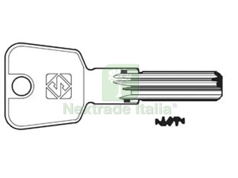 5PZ CHIAVI PUNZONATE PER CILINDRI TITAN 5 SPINE TN32 - TN32 — Chiavi grezze e duplicati — rif. FERX.FER275866