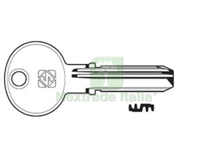 5PZ CHIAVI PUNZONATE PER CILINDRI TESA 5+5 SPINE TE7 - TE7 — Chiavi grezze e duplicati — rif. FERX.FER275910