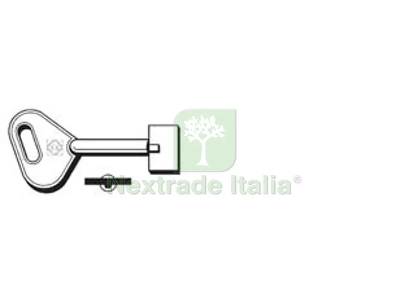 5PZ CHIAVI A POMPA AUNO - ANTONIOLI 5AU3 - 5AU3 — Serrature e cilindri — rif. FERX.FER276184 5PZ CHIAVI A POMPA AUNO - ANTONIOLI 5AU3 - 5AU3 — Serrature e cilindri — rif. FERX.FER276184