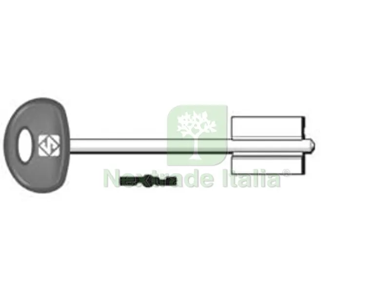 5PZ Chiavi Doppia Mappa Fiam 5FI23P - 5FI23P — Chiavi grezze e duplicati — rif. FERX.FER276313