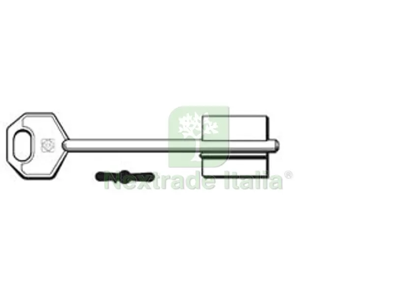 5PZ CHIAVI DOPPIA MAPPA MOTTURA 5MT9 - 5MT9 — Chiavi grezze e duplicati — rif. FERX.FER276382 5PZ CHIAVI DOPPIA MAPPA MOTTURA 5MT9 - 5MT9 — Chiavi grezze e duplicati — rif. FERX.FER276382