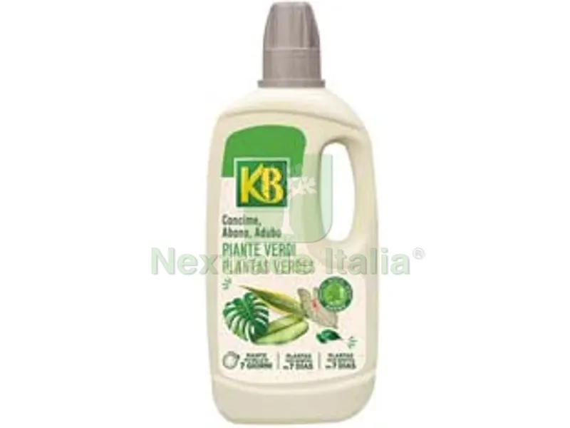3PZ CONCIME LIQUIDO PER PIANTE VERDI lt.1 concime liquido studiato per le piante verdi da appartamento favorisce le funzioni svolte dalle radici, migliorando l?assorbimento degli elementi nut — Protezione piante e sementi — rif. FERX.FER277464