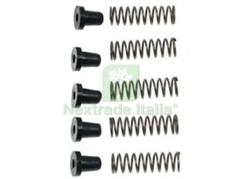 Molle + Ammortizzatori per Cogliuva R1071 - 5+5pz (R1071) — Attrezzi da giardino — rif. FERX.FER279451