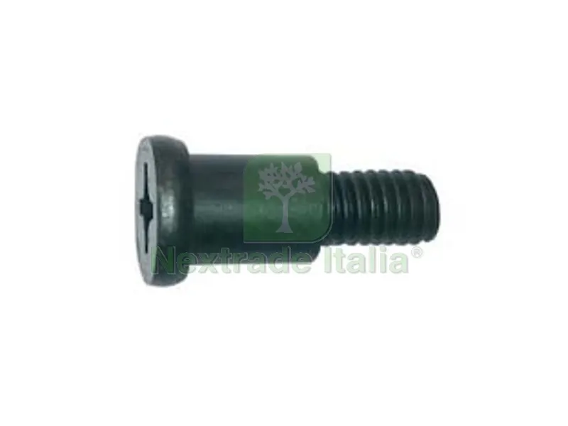 Vite Snodo Biellaggio per Bacchiatore Elettrico — Viti — rif. FERX.FER286299