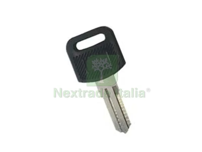 5PZ Chiavi Grezze per Cassetta Postale — Serrature e cilindri — rif. FERX.FER317269 5PZ Chiavi Grezze per Cassetta Postale — Serrature e cilindri — rif. FERX.FER317269