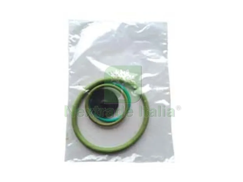 SET RICAMBI PER POMPA ARES VITON — Protezione piante e sementi — rif. FERX.FER320061