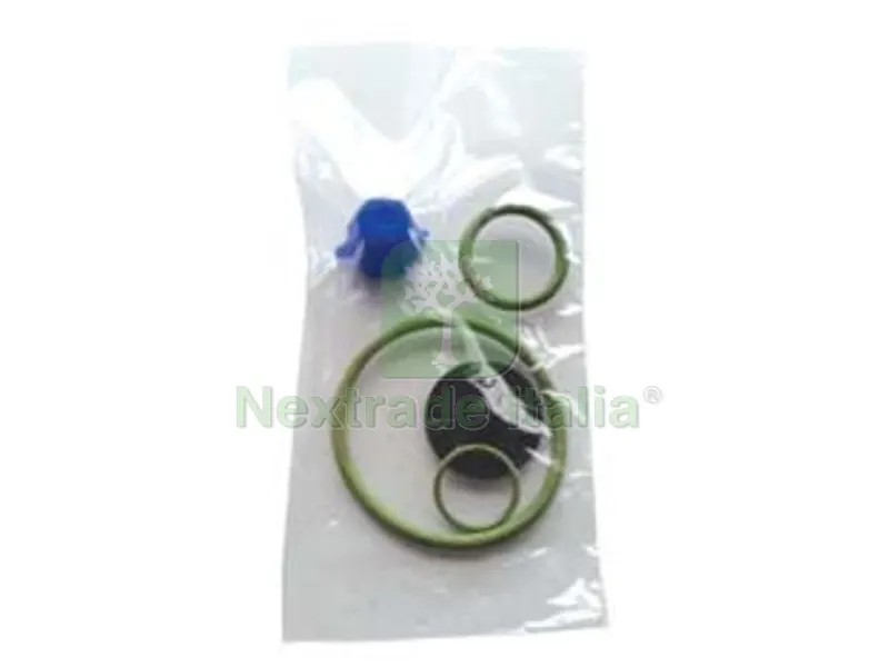 SET RICAMBI PER POMPE EROS VITON — Protezione piante e sementi — rif. FERX.FER320078 SET RICAMBI PER POMPE EROS VITON — Protezione piante e sementi — rif. FERX.FER320078