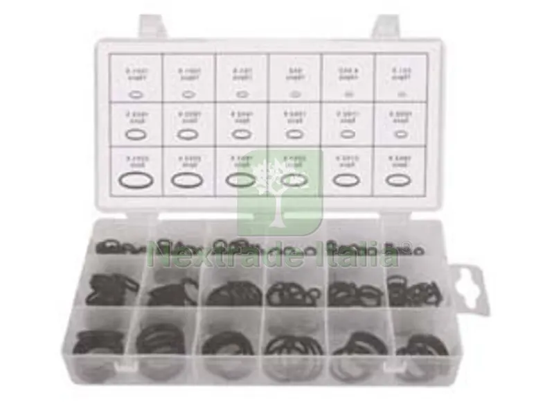 Guarnizioni O-Ring Assortite PZ.125 — Guarnizioni e tenute — rif. FERX.FER344678