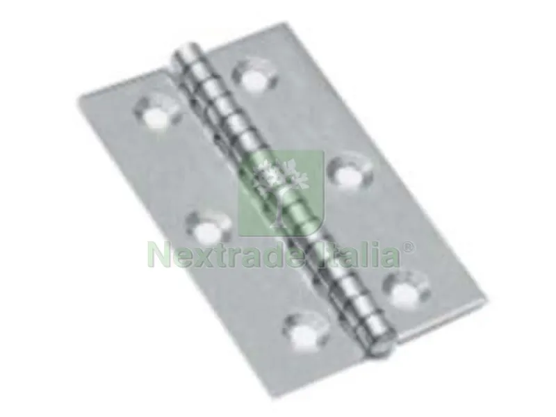 25PZ Cerniere Piane in Acciaio Inox Perno Fisso - mm.60x50x1,5 — Cerniere e cardini — rif. FERX.FER346290