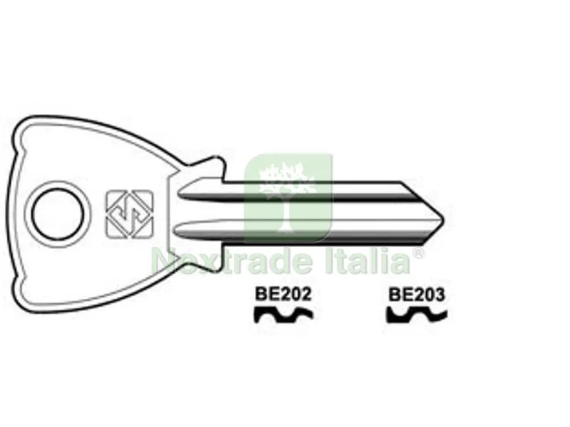 20PZ chiavi per cilindri 5 spine grandi - be202 dx — Serrature e cilindri — rif. FERX.FER347624
