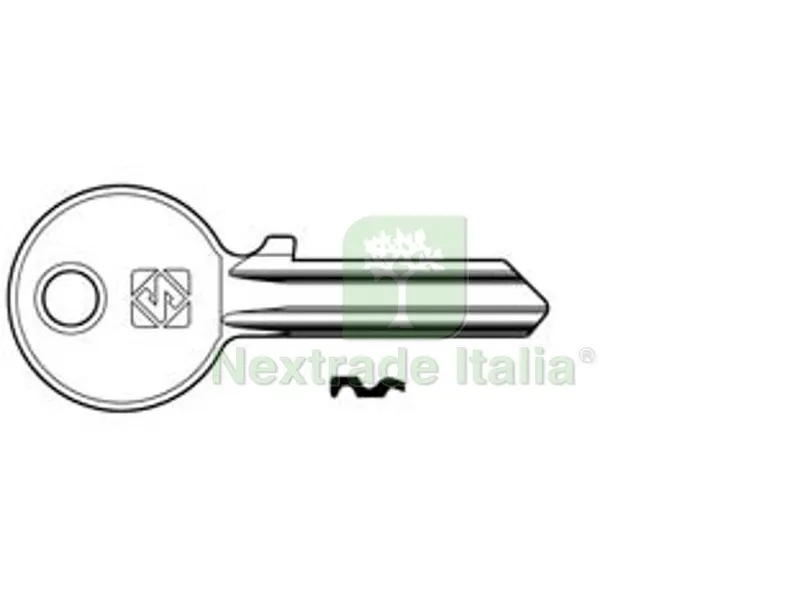 10PZ CHIAVI PER CILINDRI CORNI 5 SPINE PICCOLE CC8 - CC8 DX — Serrature e cilindri — rif. FERX.FER347679