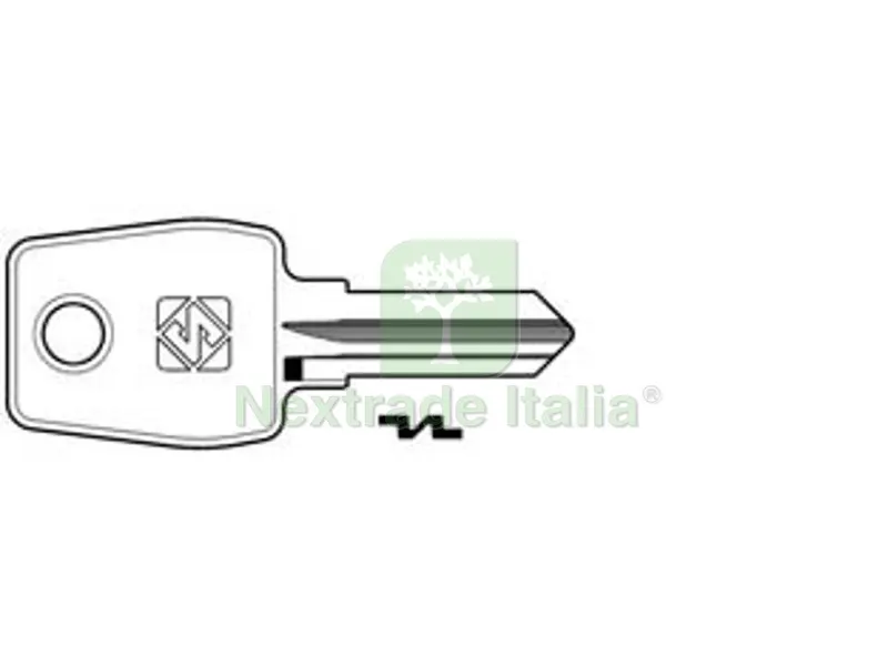 10PZ Chiavi per Cilindri Euro Locks 5 Spine Piccole EU13R - EU13R — Serrature e cilindri — rif. FERX.FER347723