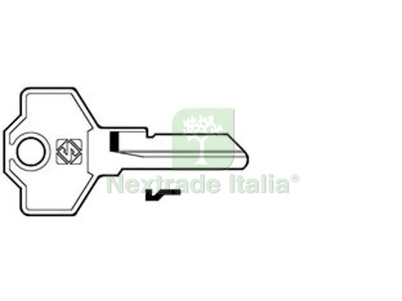 10PZ Chiavi per Cilindri Giussani 5 Spine Piccole GS1 - GS1 DX — Serrature e cilindri — rif. FERX.FER347761 10PZ Chiavi per Cilindri Giussani 5 Spine Piccole GS1 - GS1 DX — Serrature e cilindri — rif. FERX.FER347761