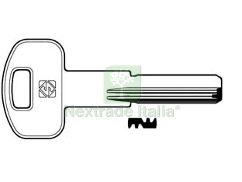 5PZ CHIAVI PUNZONATE PER CILINDRI IBFM 6 SPINE IBF2R - IBF2R — Chiavi grezze e duplicati — rif. FERX.FER348058