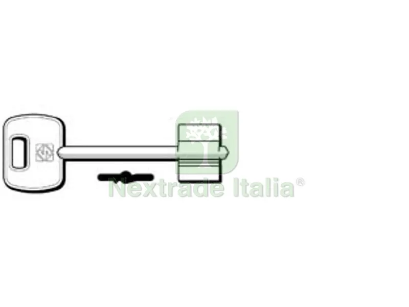 5PZ chiavi doppia mappa 5ie11 - 5ie11 — Chiavi grezze e duplicati — rif. FERX.FER348119