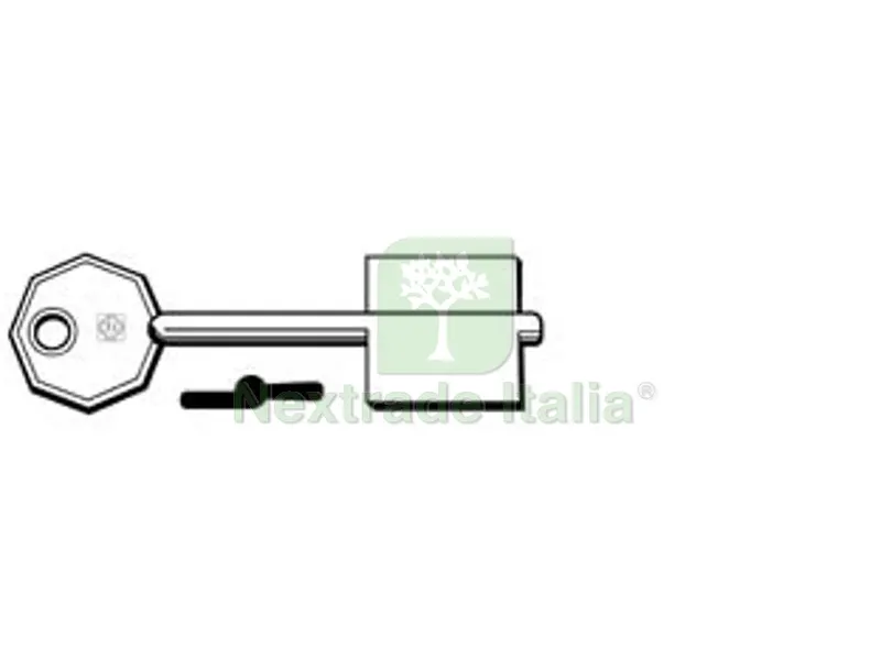 5PZ CHIAVI DOPPIA MAPPA MOTTURA MTM - MTM — Chiavi grezze e duplicati — rif. FERX.FER348126 5PZ CHIAVI DOPPIA MAPPA MOTTURA MTM - MTM — Chiavi grezze e duplicati — rif. FERX.FER348126