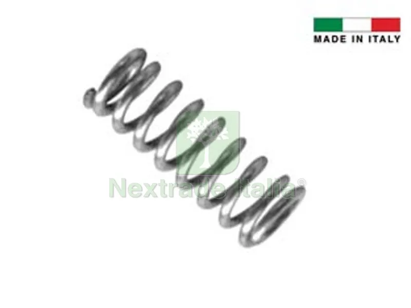 5PZ MOLLA PER VALVOLA PER ABBEVERATOIO BOVINI E CAVALLI — Mangimi e alimentazione — rif. FERX.FER348621 5PZ MOLLA PER VALVOLA PER ABBEVERATOIO BOVINI E CAVALLI — Mangimi e alimentazione — rif. FERX.FER348621