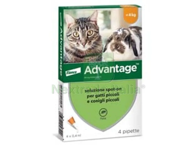 antiparassitario "" per gatti e conigli fino a kg.4 - in conf. da 4 pipette spot-on — Protezione piante e sementi — rif. FERX.FER348713 antiparassitario "" per gatti e conigli fino a kg.4 - in conf. da 4 pipette spot-on — Protezione piante e sementi — rif. FERX.FER348713