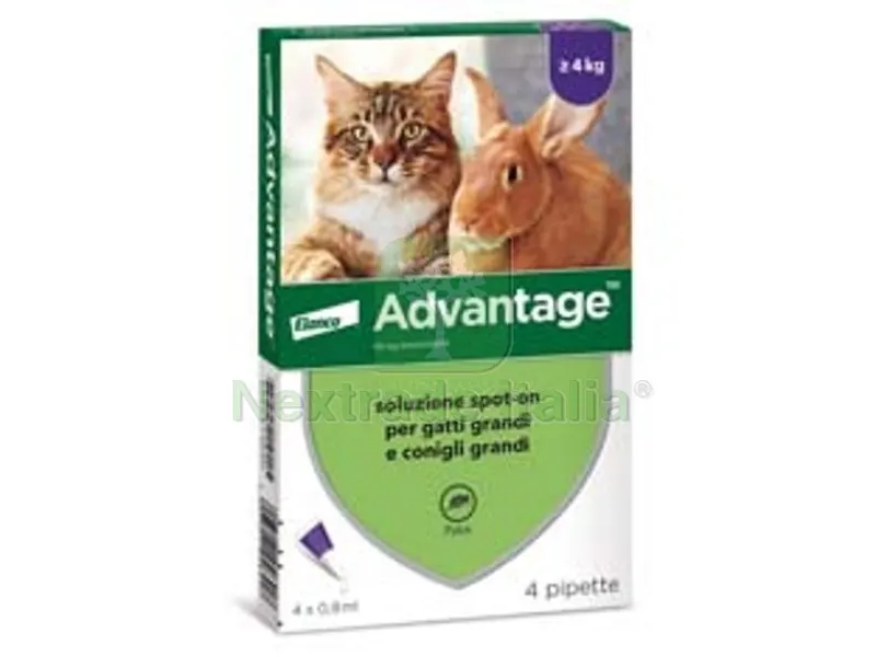 antiparassitario "" per gatti e conigli oltre kg.4 - in conf. da 4 pipette spot-on — Protezione piante e sementi — rif. FERX.FER348720 antiparassitario "" per gatti e conigli oltre kg.4 - in conf. da 4 pipette spot-on — Protezione piante e sementi — rif. FERX.FER348720
