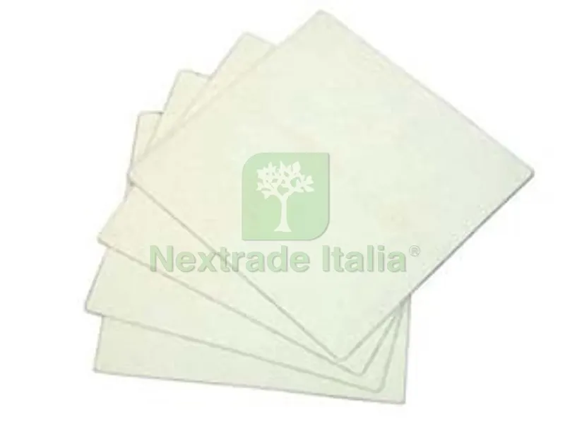 18PZ Cartone Filtrante CM.20X20 per Colombo 18 OIL - Rover 00, micron 45, per travaso olio — Vasi e fioriere — rif. FERX.FER356992