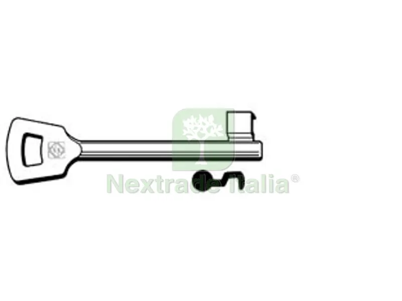 5PZ CHIAVI PATENT PASSEPARTOUT NEMEF 2NFHL - 2NFHL — Serrature e cilindri — rif. FERX.FER361309 5PZ CHIAVI PATENT PASSEPARTOUT NEMEF 2NFHL - 2NFHL — Serrature e cilindri — rif. FERX.FER361309