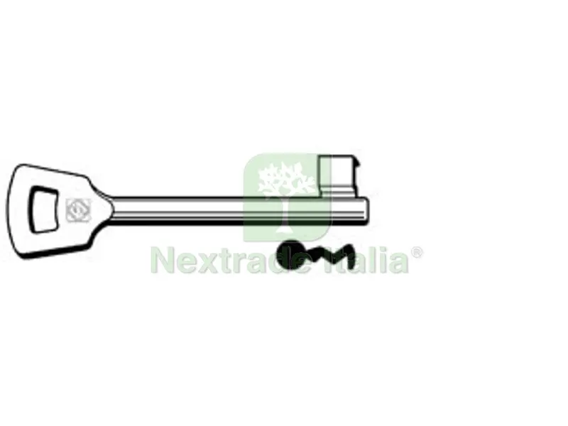 5PZ Chiavi Patent Passepartout Nemef 10NFHL - 10NFHL — Serrature e cilindri — rif. FERX.FER361385 5PZ Chiavi Patent Passepartout Nemef 10NFHL - 10NFHL — Serrature e cilindri — rif. FERX.FER361385