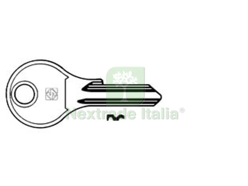 10PZ Chiavi per Cilindri DOM 5 Spine Piccole DM8 - DM8 DX — Serrature e cilindri — rif. FERX.FER361798