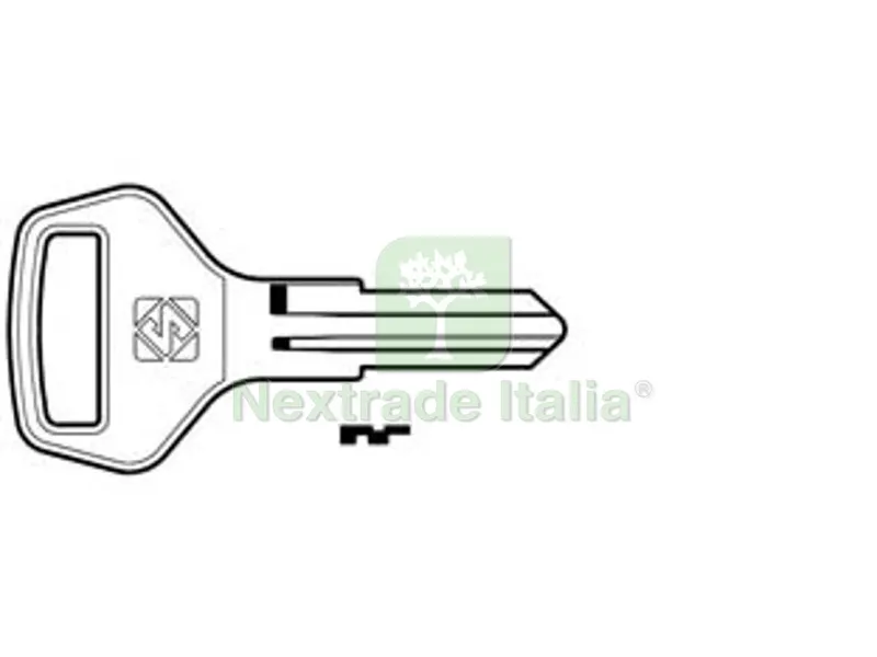10PZ CHIAVI PER CILINDRI EVERGOOD 5 SPINE PICCOLE ED1 - ED1 DX — Serrature e cilindri — rif. FERX.FER361811