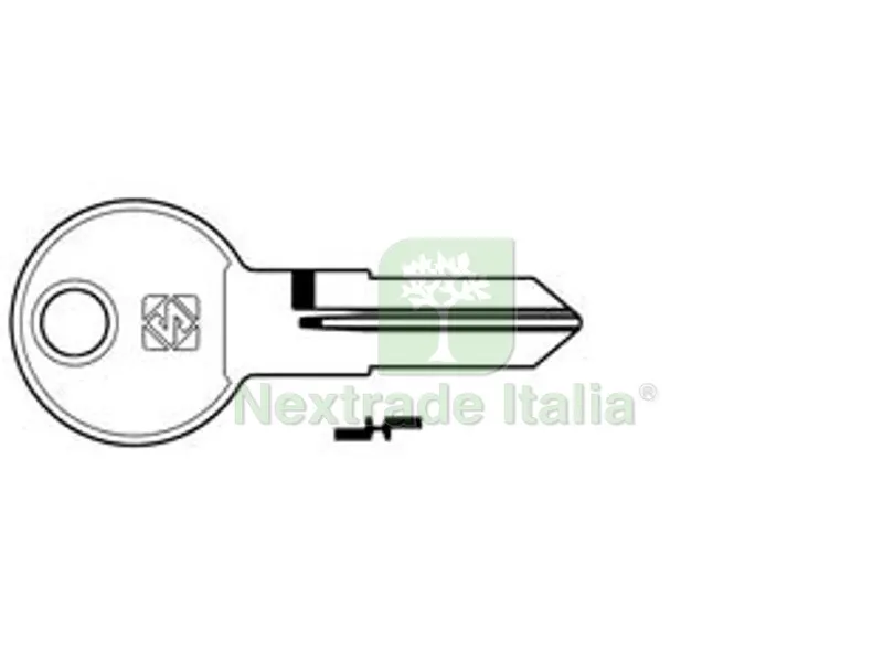 10PZ Chiavi per Cilindri Renz 5 Spine Piccole REN2 - REN2 — Serrature e cilindri — rif. FERX.FER361835
