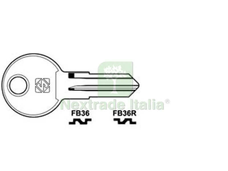 10PZ CHIAVI PER CILINDRI FAB 5 SPINE PICCOLE - FB36R SX — Serrature e cilindri — rif. FERX.FER361972 10PZ CHIAVI PER CILINDRI FAB 5 SPINE PICCOLE - FB36R SX — Serrature e cilindri — rif. FERX.FER361972