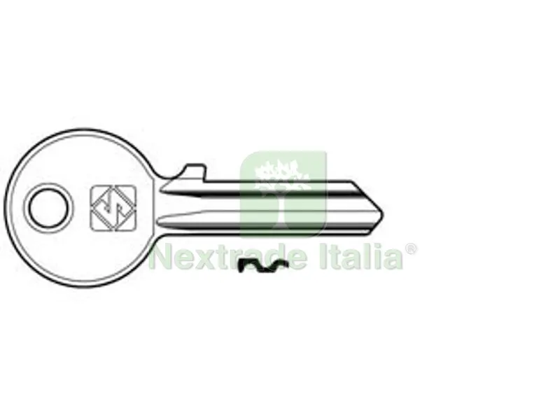 100PZ chiavi per cilindri 5 spine piccole cs7 in acc. nich. - cs7 dx — Serrature e cilindri — rif. FERX.FER362030 100PZ chiavi per cilindri 5 spine piccole cs7 in acc. nich. - cs7 dx — Serrature e cilindri — rif. FERX.FER362030