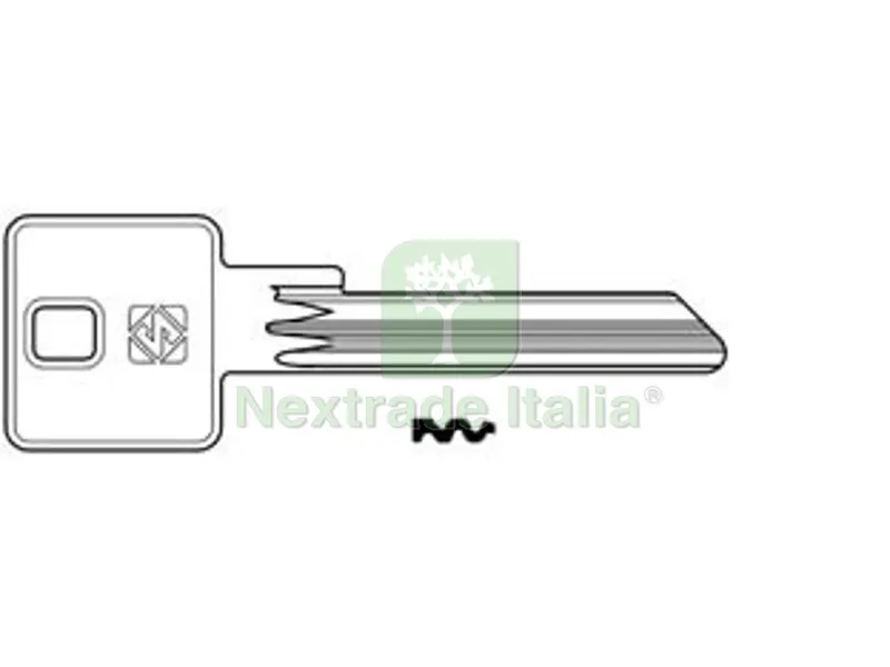 5PZ Chiavi per Cilindri Potent 6 Spine Grandi PT8 - PT8 — Serrature e cilindri — rif. FERX.FER362047