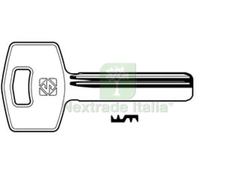 5PZ CHIAVI PUNZONATE PER CILINDRI GRIFO 6 SPINE GF1 - GF1 — Chiavi grezze e duplicati — rif. FERX.FER363778