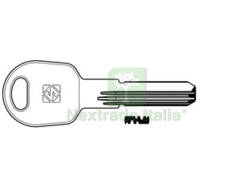 5PZ Chiavi Punzonate per Cilindri Tilanco 6 Spine TLC1R - TLC1R — Chiavi grezze e duplicati — rif. FERX.FER363792 5PZ Chiavi Punzonate per Cilindri Tilanco 6 Spine TLC1R - TLC1R — Chiavi grezze e duplicati — rif. FERX.FER363792