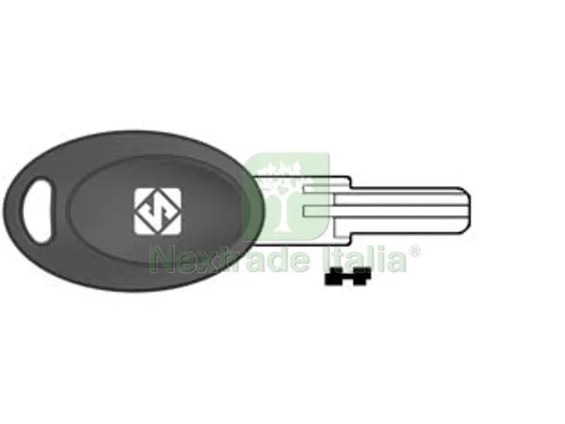 5PZ CHIAVI PUNZONATE PER CILINDRI EURO LOCKS 5 SPINE EU21P - EU21P — Chiavi grezze e duplicati — rif. FERX.FER363822