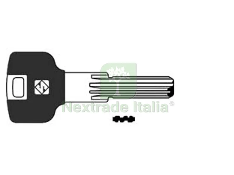 5PZ CHIAVI PUNZONATE PER CILINDRI POTENT PT7RAP - PT7RAP — Chiavi grezze e duplicati — rif. FERX.FER363839 5PZ CHIAVI PUNZONATE PER CILINDRI POTENT PT7RAP - PT7RAP — Chiavi grezze e duplicati — rif. FERX.FER363839