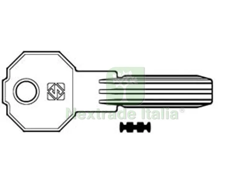 5PZ CHIAVI PUNZONATE PER CILINDRI PREFER 6 SPINE PF20 - PF20 — Chiavi grezze e duplicati — rif. FERX.FER363853 5PZ CHIAVI PUNZONATE PER CILINDRI PREFER 6 SPINE PF20 - PF20 — Chiavi grezze e duplicati — rif. FERX.FER363853