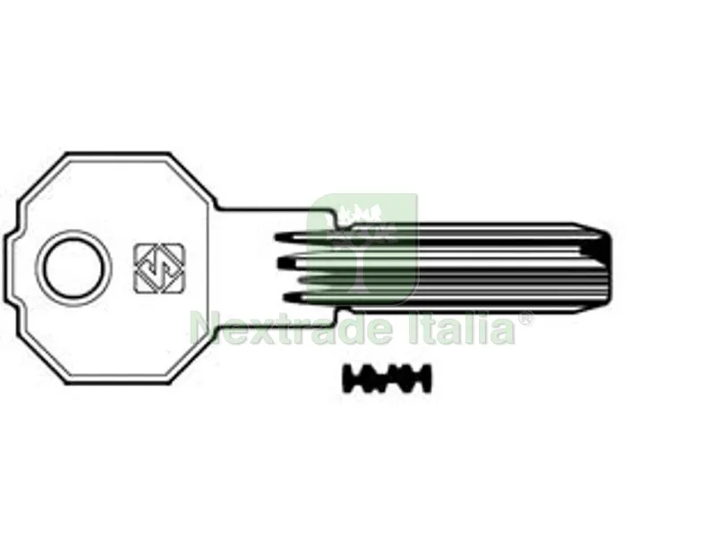 5PZ CHIAVI PUNZONATE PER CILINDRI PREFER 6 SPINE PF21 - PF21 — Chiavi grezze e duplicati — rif. FERX.FER363860 5PZ CHIAVI PUNZONATE PER CILINDRI PREFER 6 SPINE PF21 - PF21 — Chiavi grezze e duplicati — rif. FERX.FER363860