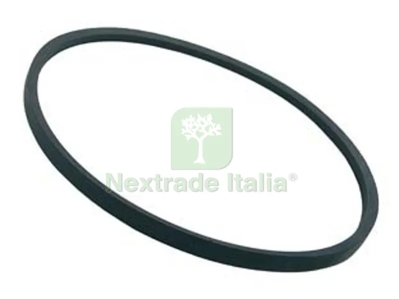 CINGHIA TRASMISSIONE PER RASAERBA - per ns. cod.165341 (CDF03781) cc.173 — Attrezzi da giardino a motore — rif. FERX.FER366717