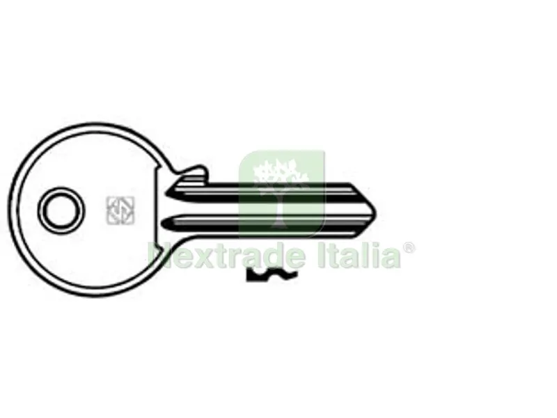 10PZ Chiavi per Cilindri Giussani 5 Spine Piccole GS3 - GS3 SX — Serrature e cilindri — rif. FERX.FER368063 10PZ Chiavi per Cilindri Giussani 5 Spine Piccole GS3 - GS3 SX — Serrature e cilindri — rif. FERX.FER368063